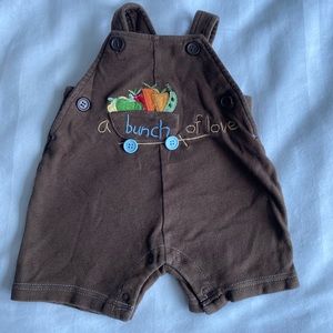 “A Bunch of Love” Overall shorts. Newborn